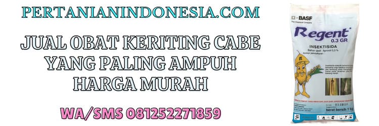 jual,murah,pertanian indonesia,jual obat keriting cabe,jual obat keriting cabe yang paling ampuh